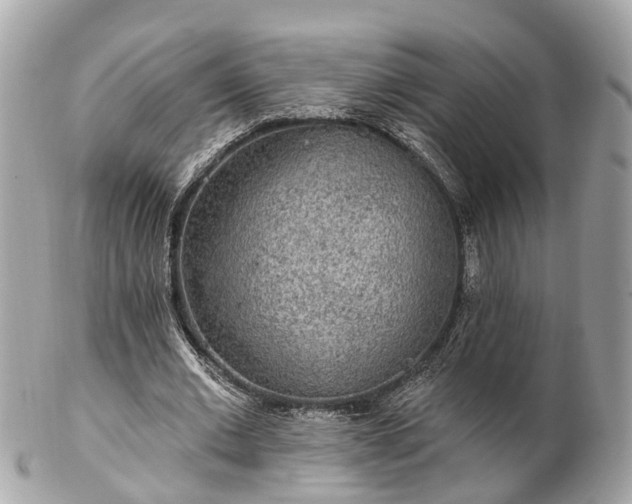 X0000102500677200808151521