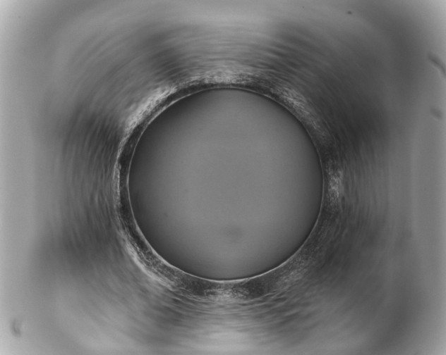 X0000102500678200808151521