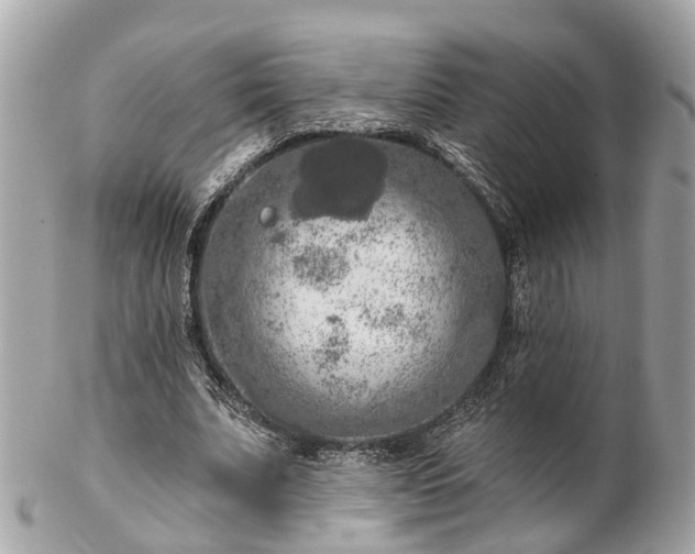 X0000102500679200808151521