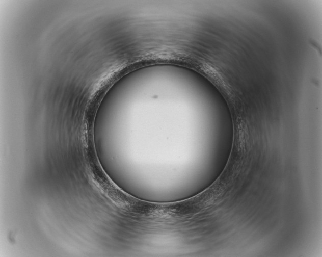 X0000102500680200808151521