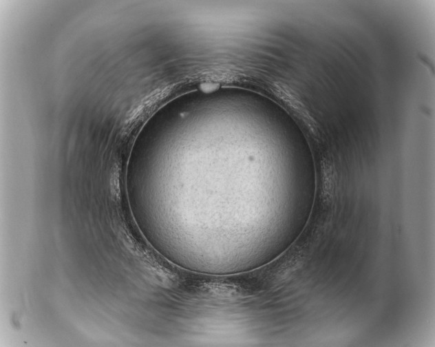 X0000102500681200808151521