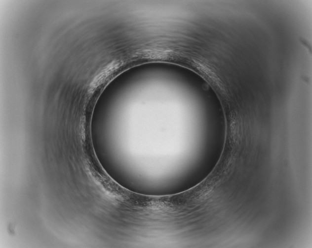 X0000102500682200808151521