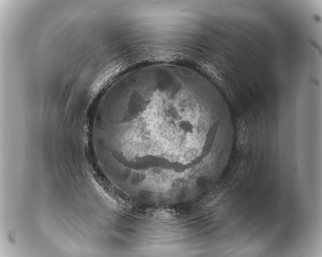 X0000102500683200808151521