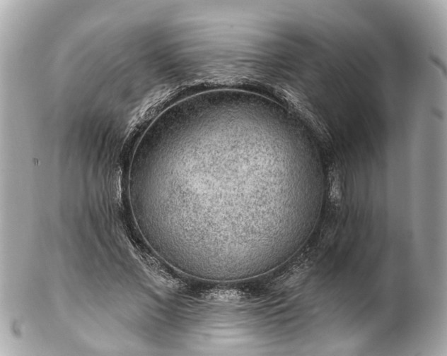 X0000102500685200808151521