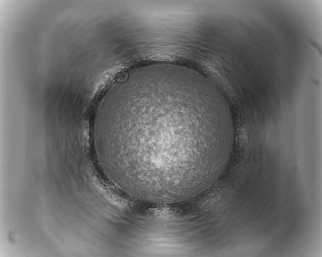 X0000102500688200808151521