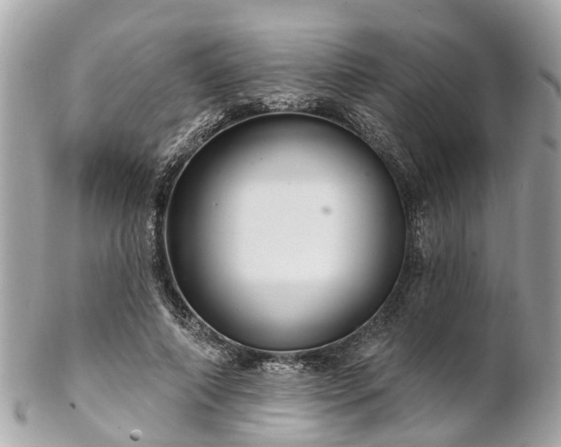 X0000102500690200808151521