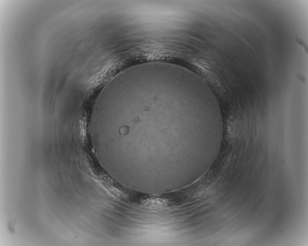 X0000102500691200808151521