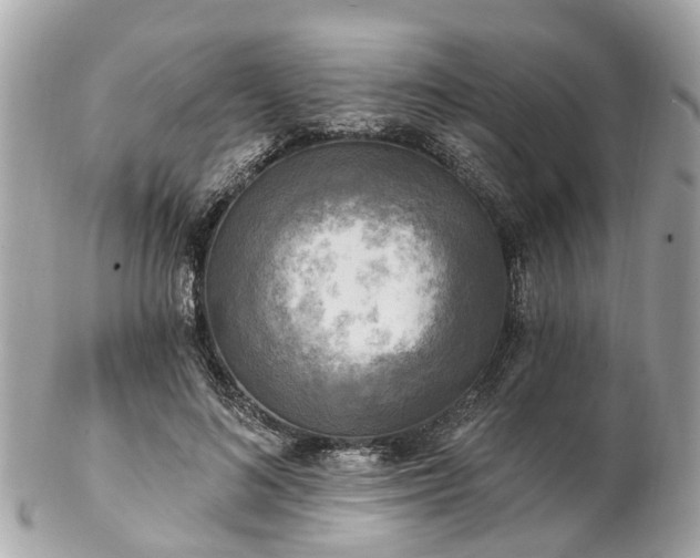 X0000102500692200808151521