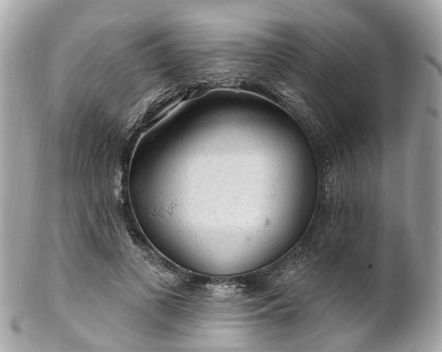 X0000102500693200808151521