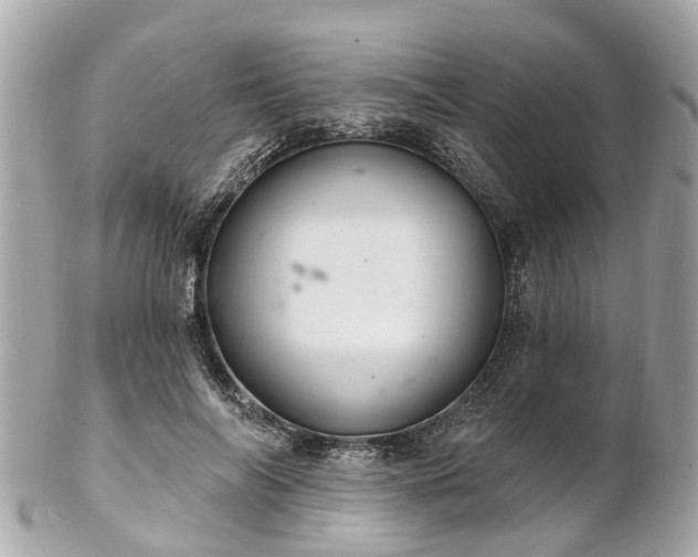 X0000102500694200808151521