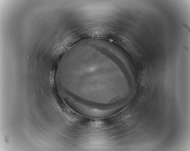 X0000102500695200808151521