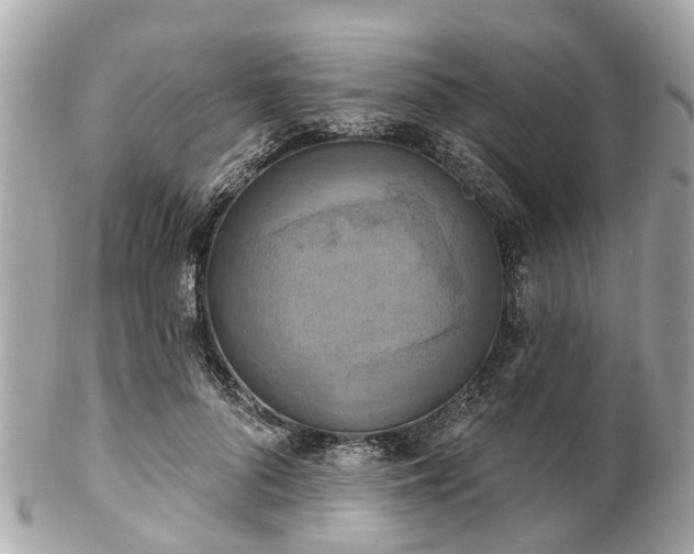 X0000102500696200808151521