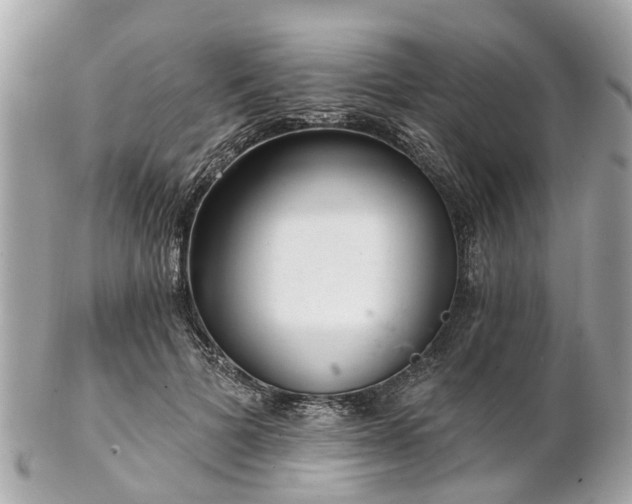 X0000102500697200808151521