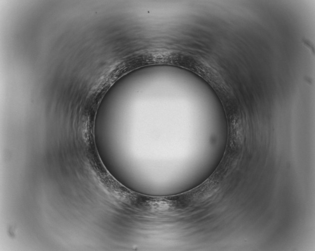 X0000102500698200808151521