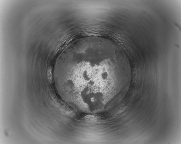 X0000102500699200808151521