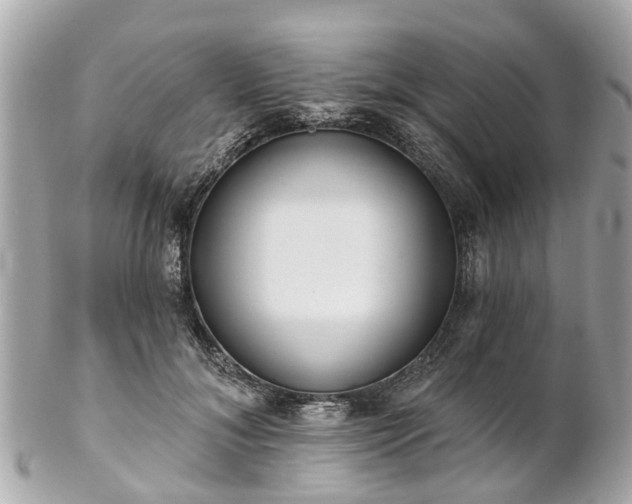 X0000102500700200808151521