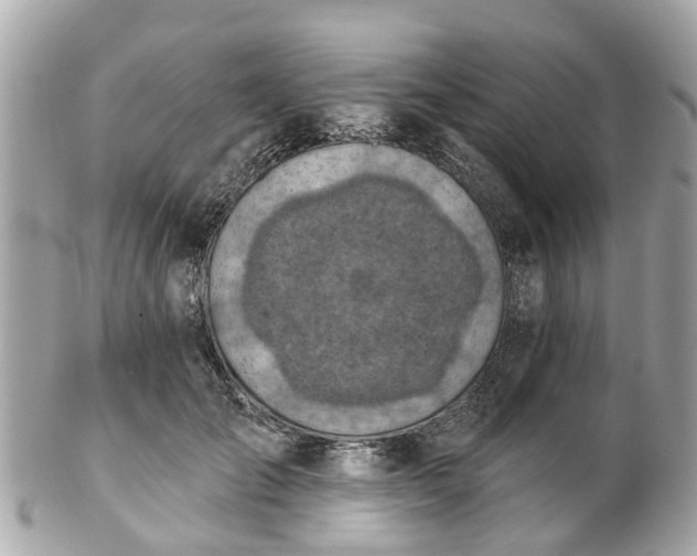 X0000102500701200808151521