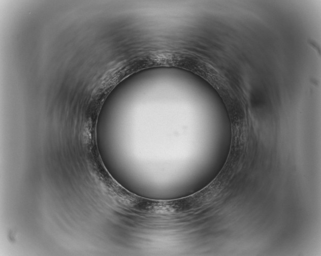 X0000102500702200808151521