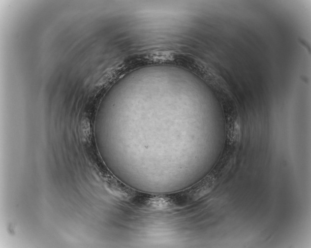 X0000102500704200808151521