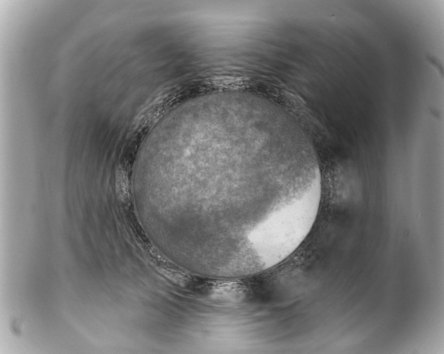 X0000102500705200808151521