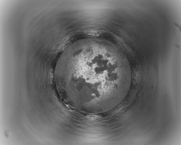 X0000102500707200808151521