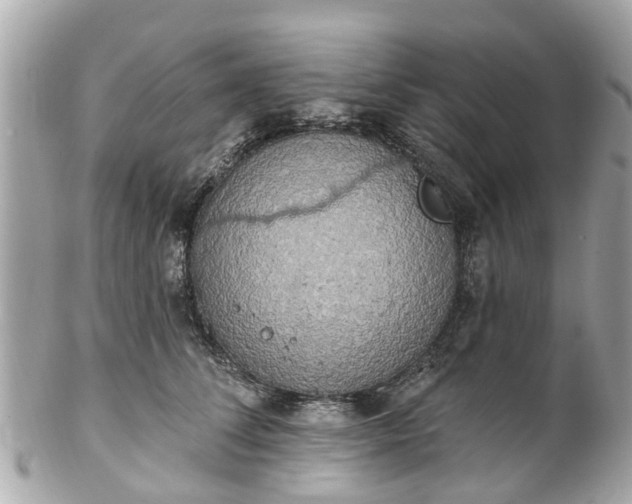 X0000102500708200808151521