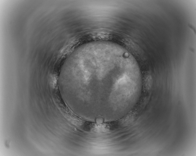 X0000102500709200808151521