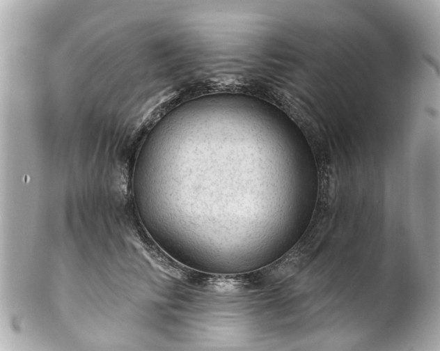 X0000102500710200808151521