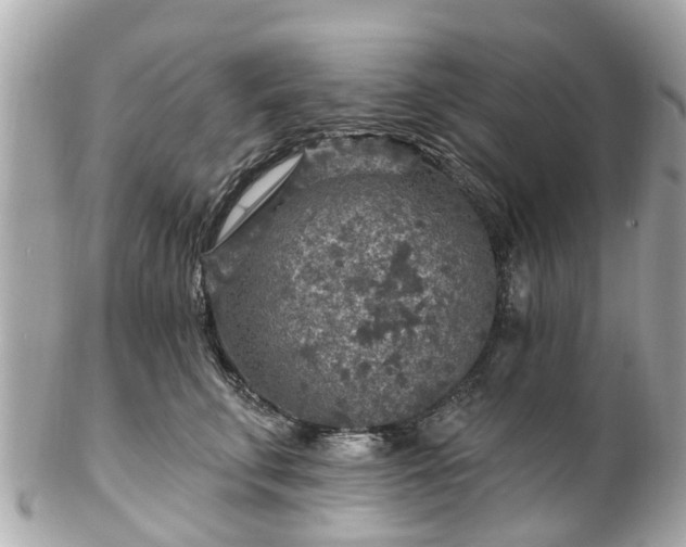 X0000102500711200808151521