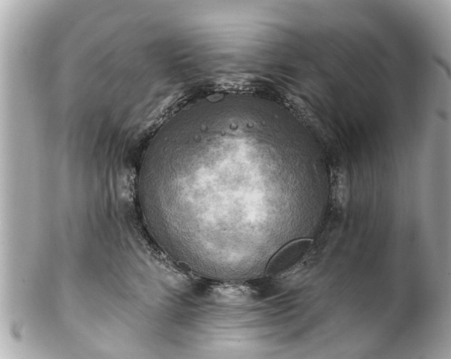 X0000102500712200808151521