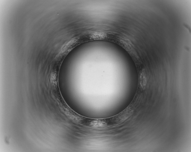 X0000102500714200808151521