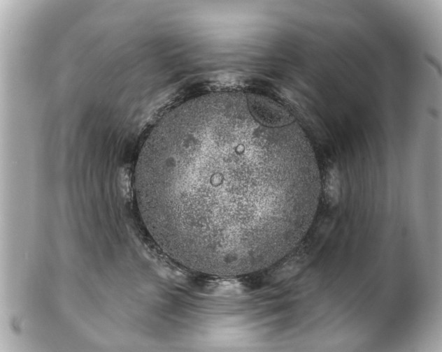 X0000102500715200808151521