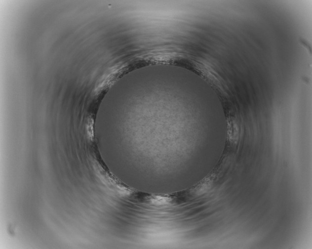 X0000102500718200808151521