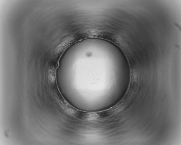 X0000102500719200808151521