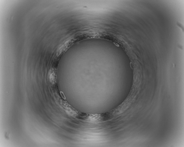 X0000102500720200808151521