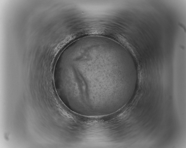 X0000102500721200808151520