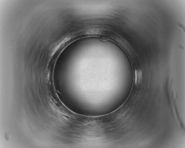 X0000102500723200808151520