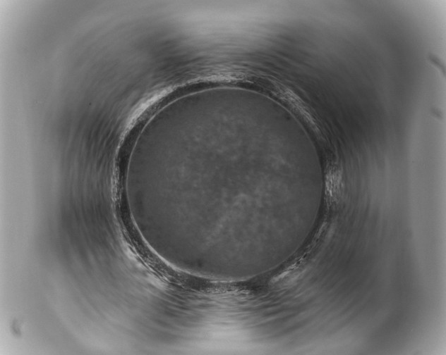 X0000102500724200808151520