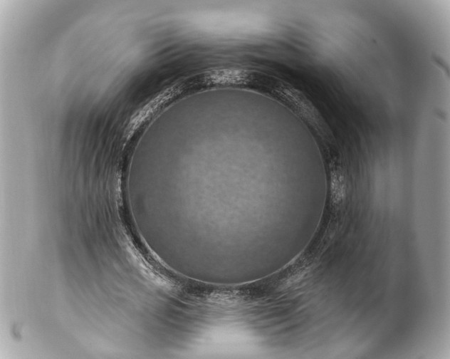 X0000102500725200808151520