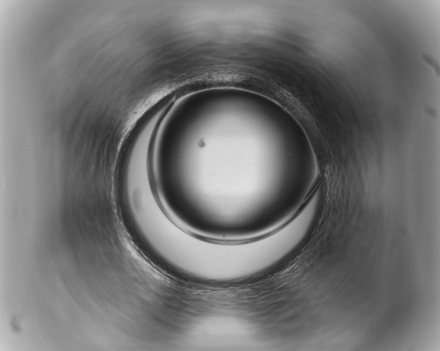 X0000102500726200808151520