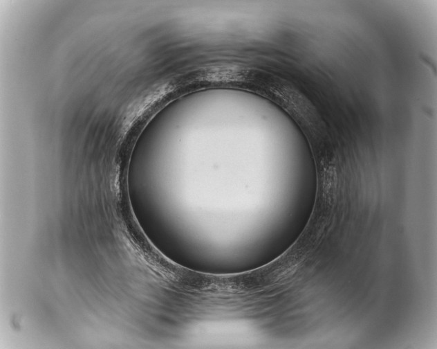 X0000102500727200808151520