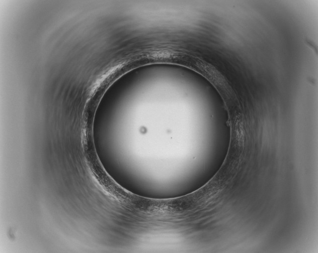 X0000102500728200808151520