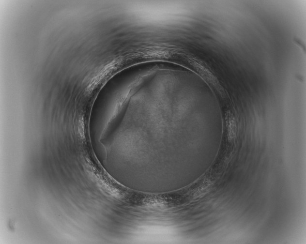 X0000102500729200808151520