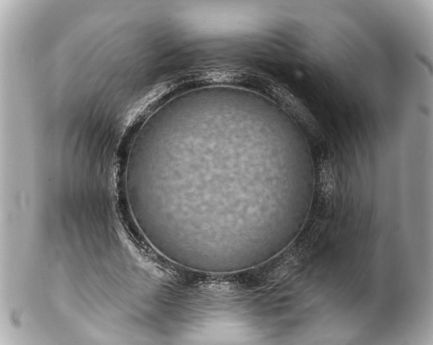 X0000102500730200808151520