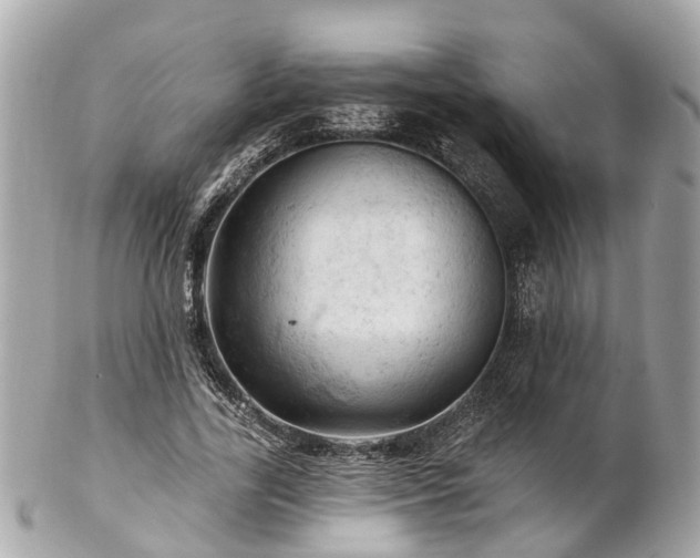 X0000102500731200808151520