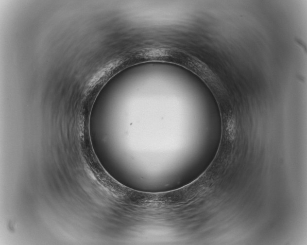 X0000102500732200808151520