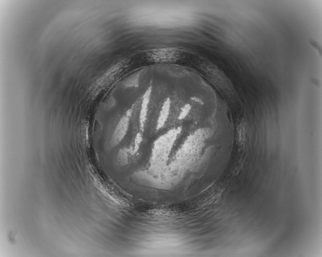 X0000102500733200808151520