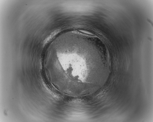 X0000102500734200808151520