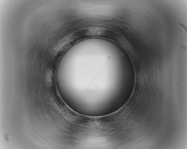 X0000102500735200808151520