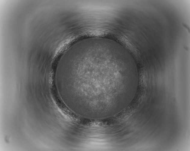 X0000102500736200808151520